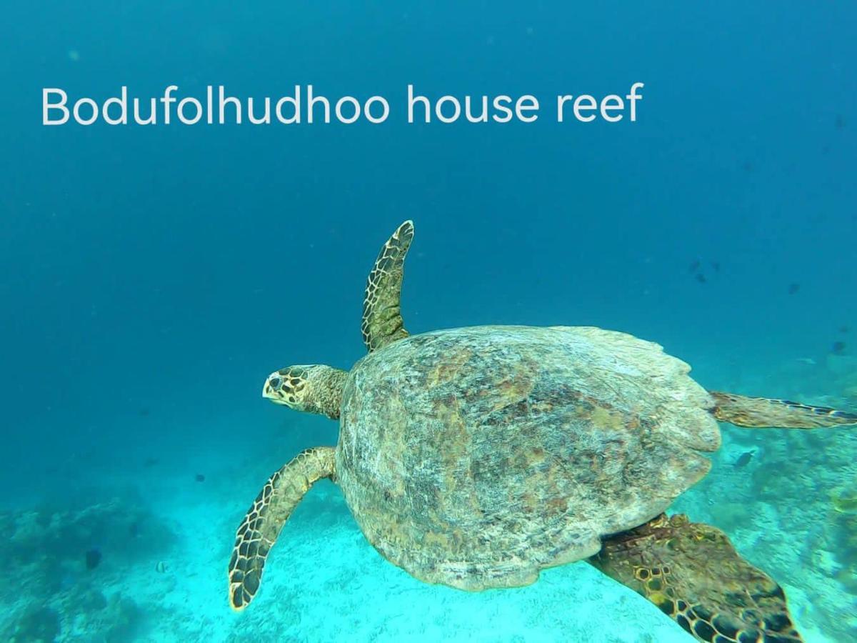 Surfretreat Hotel Bodufolhudhoo Esterno foto