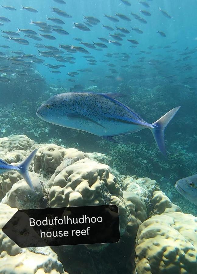 Surfretreat Hotel Bodufolhudhoo Esterno foto